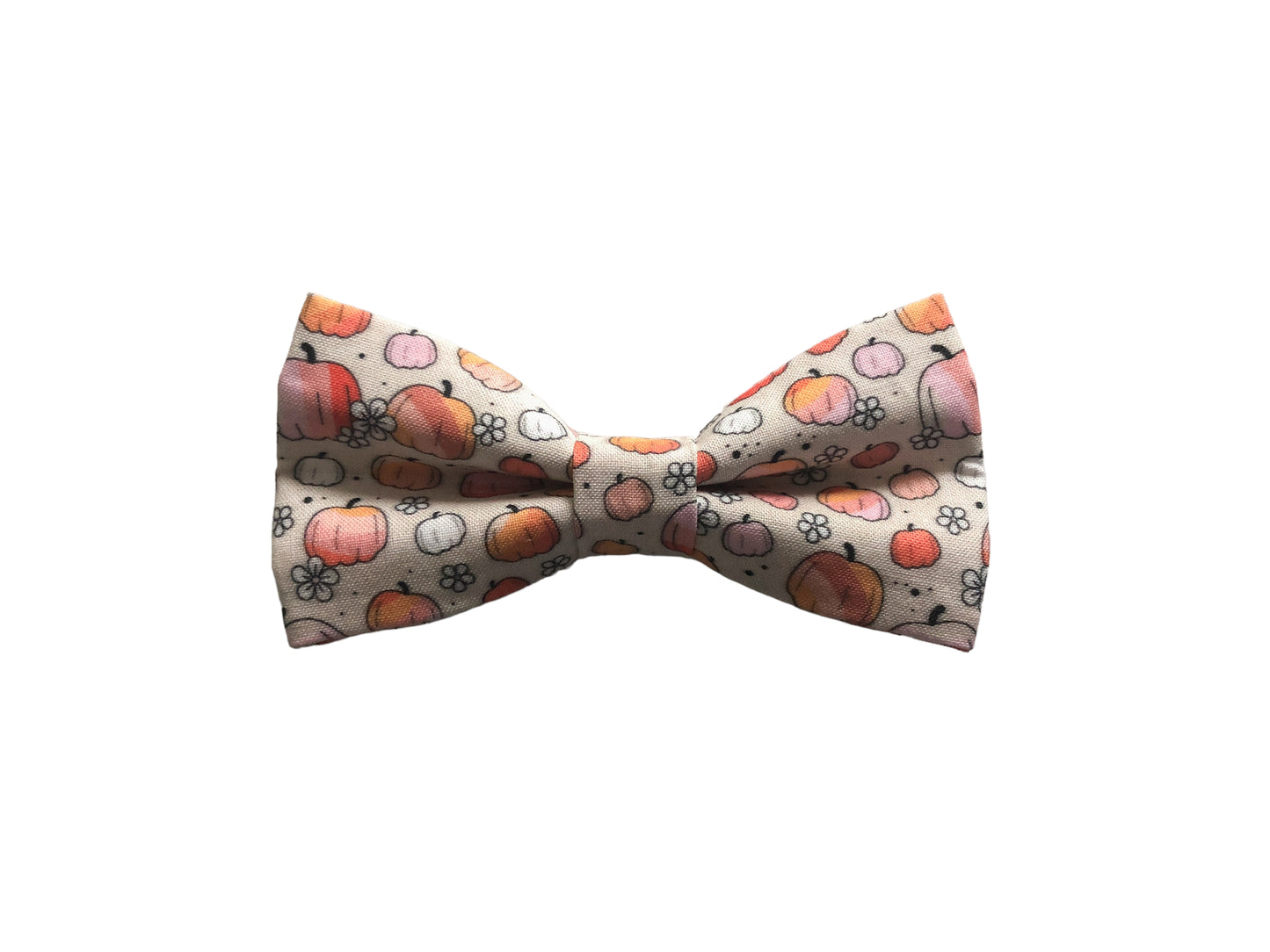 Groovy Pumpkins & Daisies