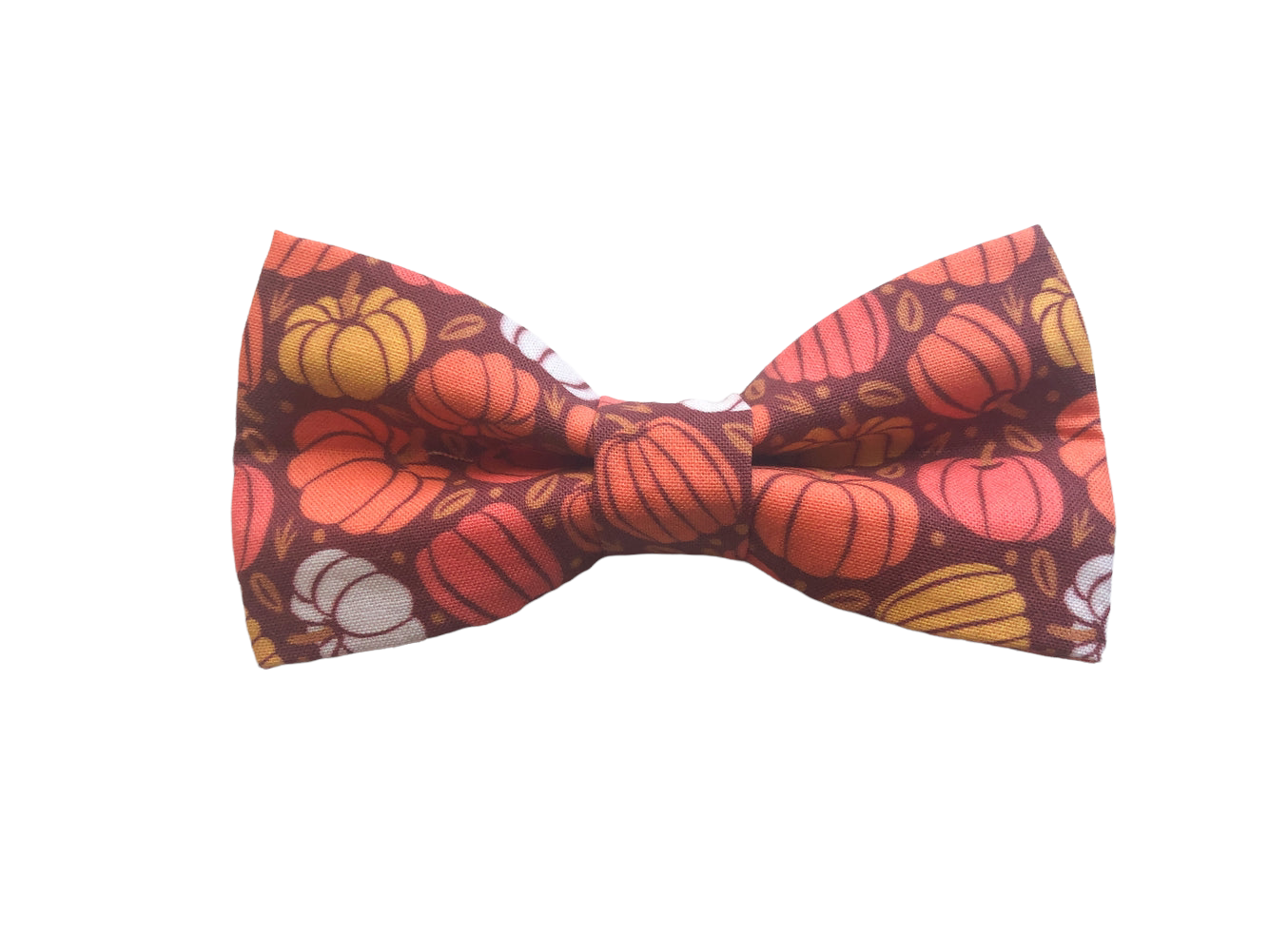 Autumn Pumpkins