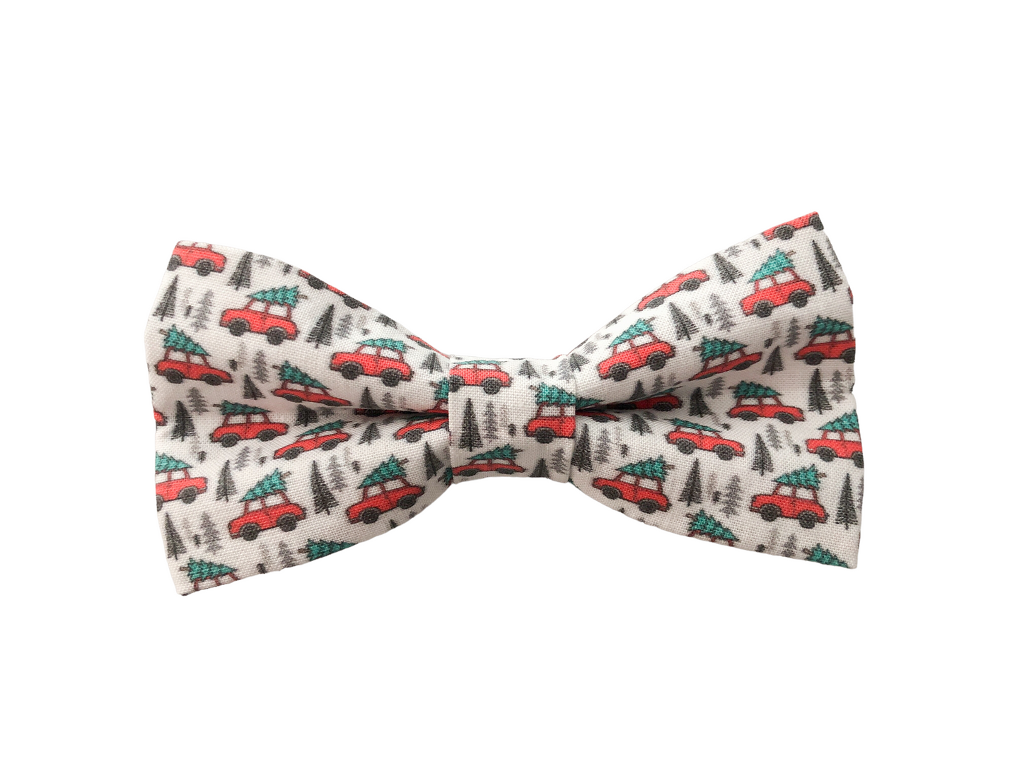 Bringing Home a Tree