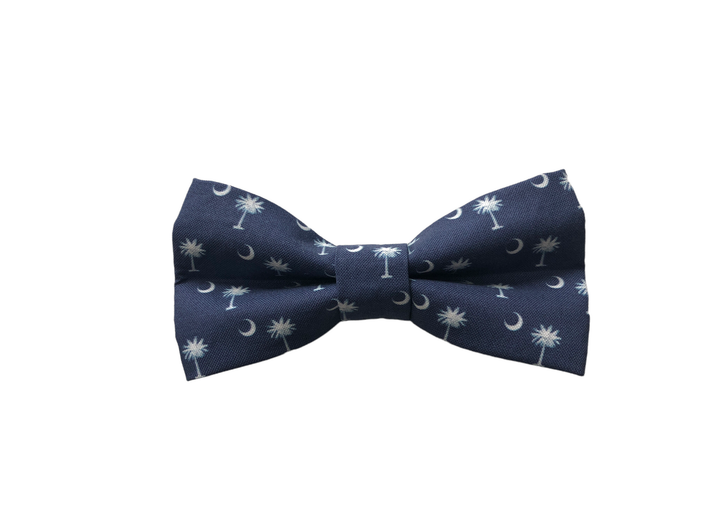 Palmetto Tree & Moon