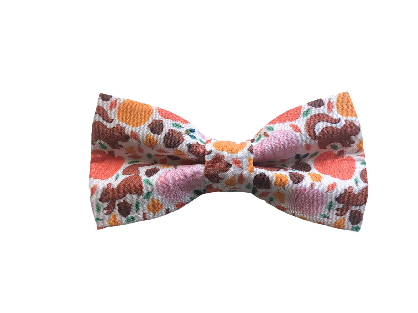 Pumpkins & Squirrels