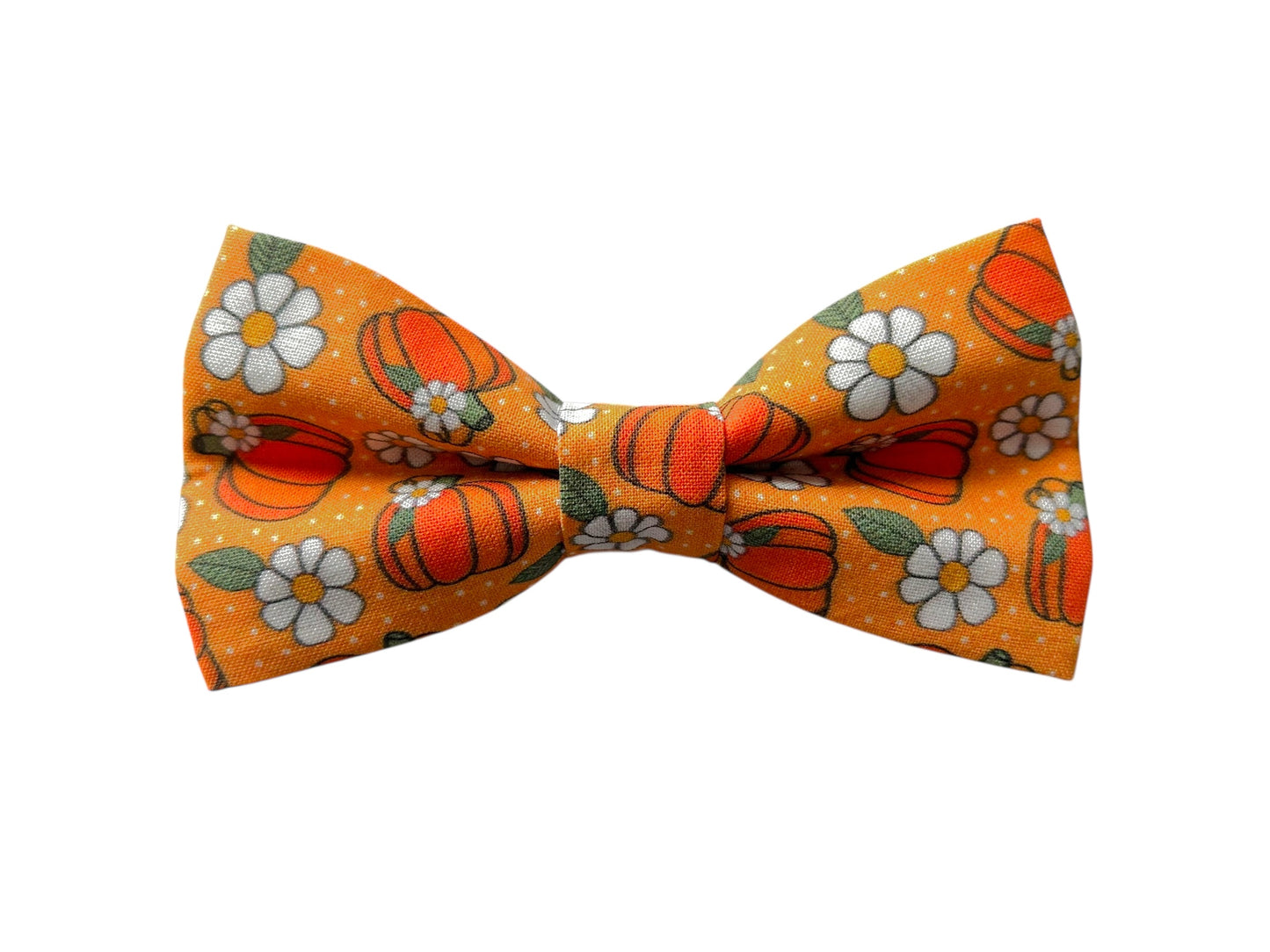 Pumpkins & Daisies